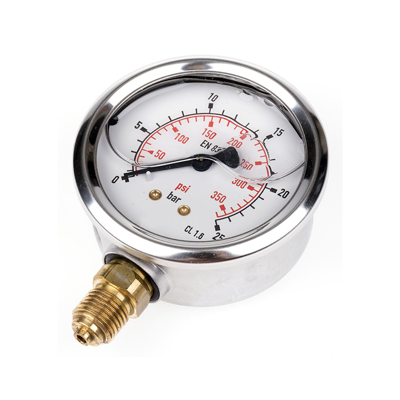Pressure Gauge/Transmitter